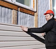 Best Siding Painting and Refinishing  in Washington Park, IL